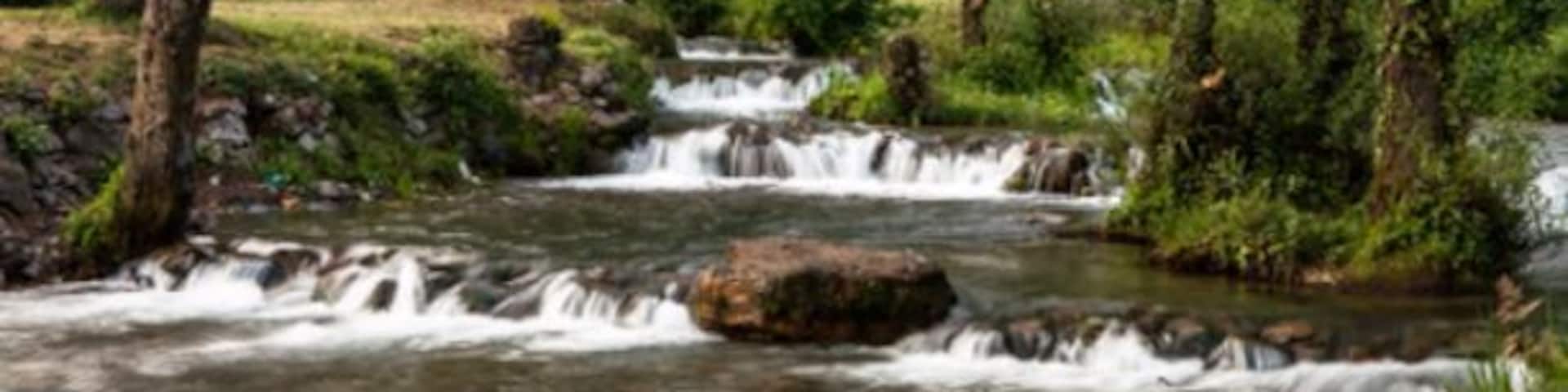 Kokernag Botanical Garden developed by the J&K Tourism department, it is the biggest garden in Kashmir.
http://sandeepachetan.com/day-trip-kokernag-kashmir/