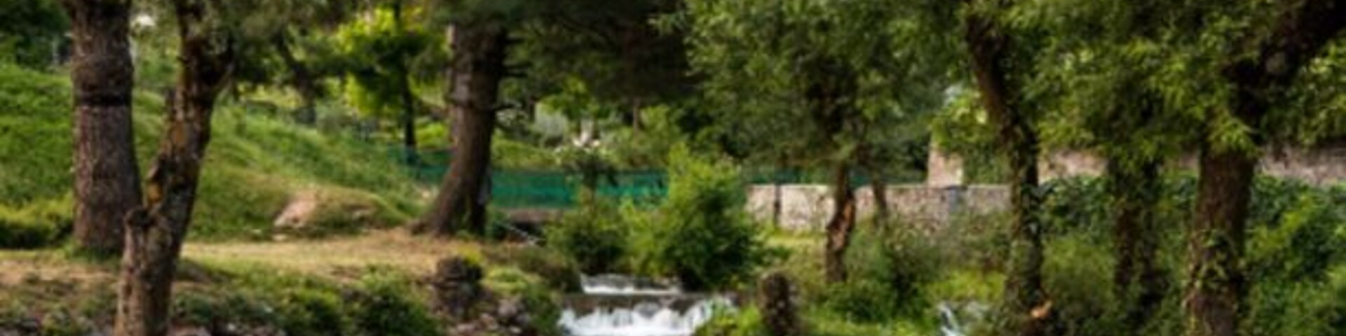 Kokernag Botanical Garden developed by the J&K Tourism department, it is the biggest garden in Kashmir.
http://sandeepachetan.com/day-trip-kokernag-kashmir/