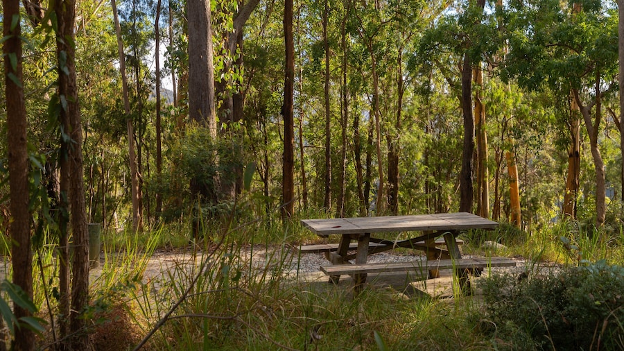 Boonoo Boonoo National Park which includes forest scenes and a park