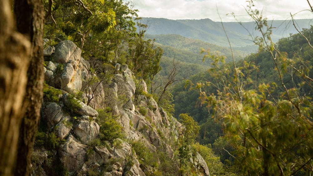 Une falaise escarpée, couverte d’une végétation luxuriante et verdoyante, avec une chaîne de montagnes qui se profile à l’horizon.