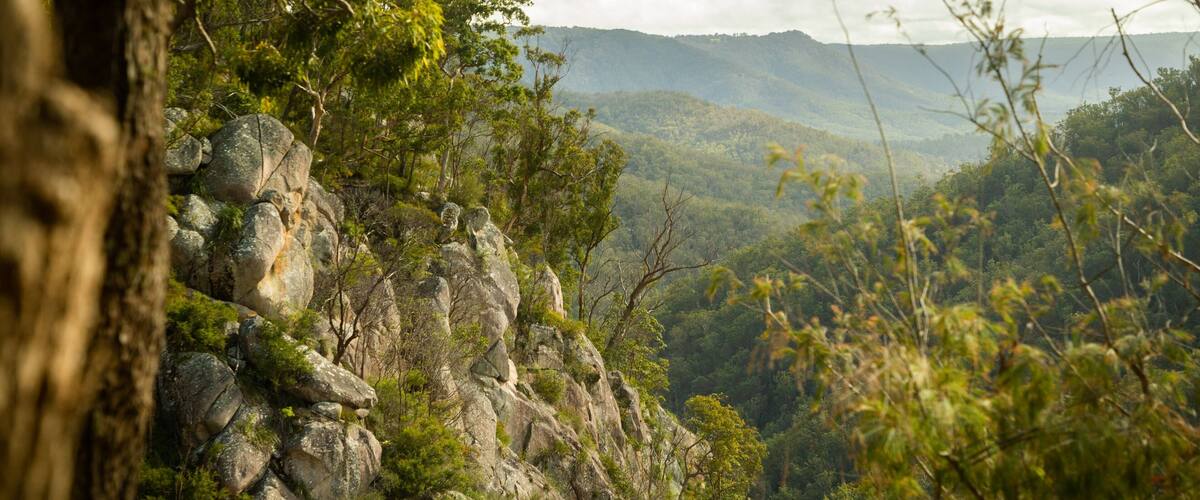 Boonoo Boonoo National Park showing tranquil scenes and a gorge or canyon