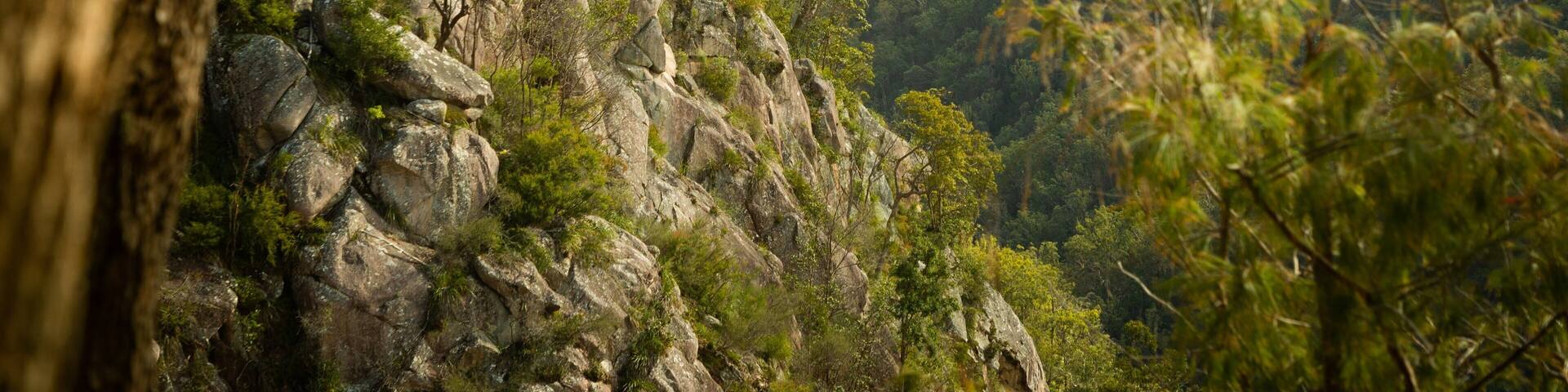 Boonoo Boonoo National Park showing tranquil scenes and a gorge or canyon