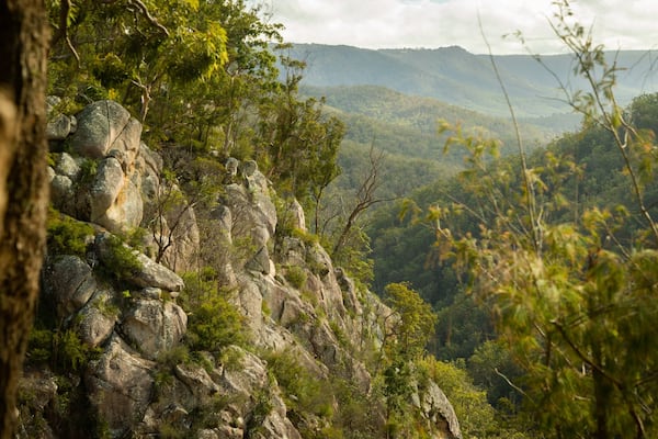 Boonoo Boonoo National Park showing tranquil scenes and a gorge or canyon