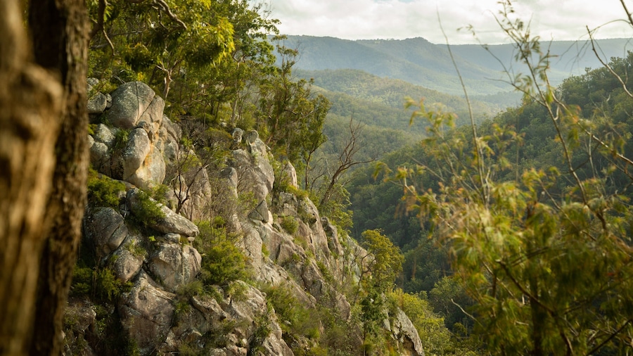 Boonoo Boonoo National Park showing tranquil scenes and a gorge or canyon