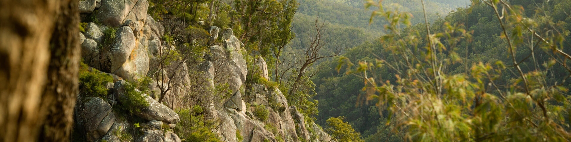 Boonoo Boonoo National Park showing tranquil scenes and a gorge or canyon