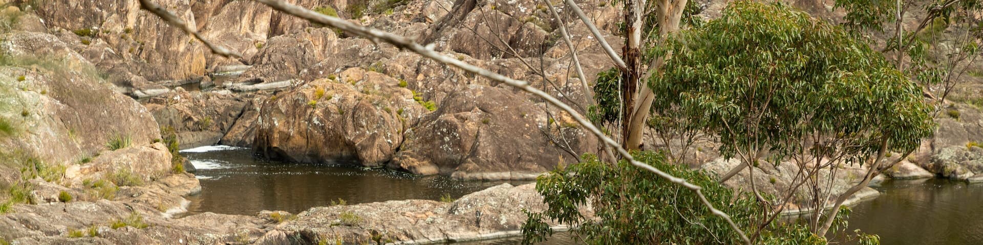 A rocky riverbed with sparse vegetation and a clear sky.
