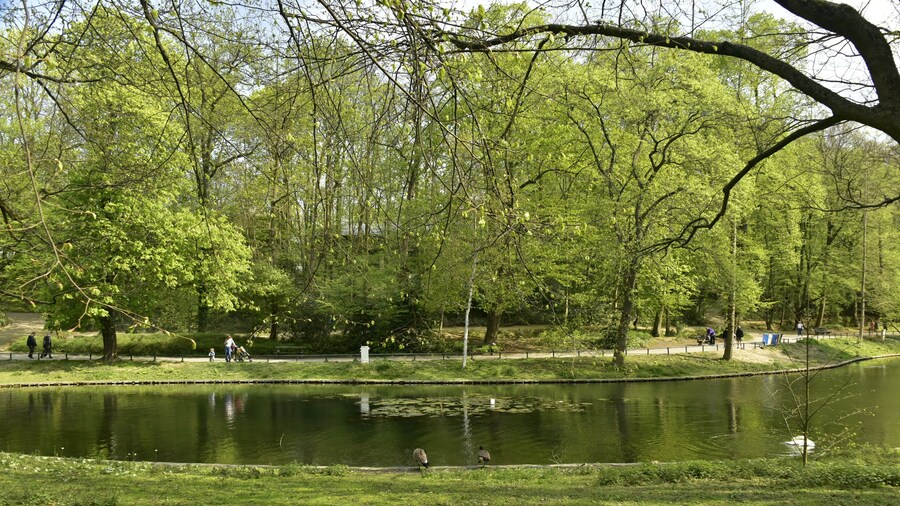 L'étang principal et ses berges courbées sous le feuillage des arbres au parc Josaphat à Schaerbeek