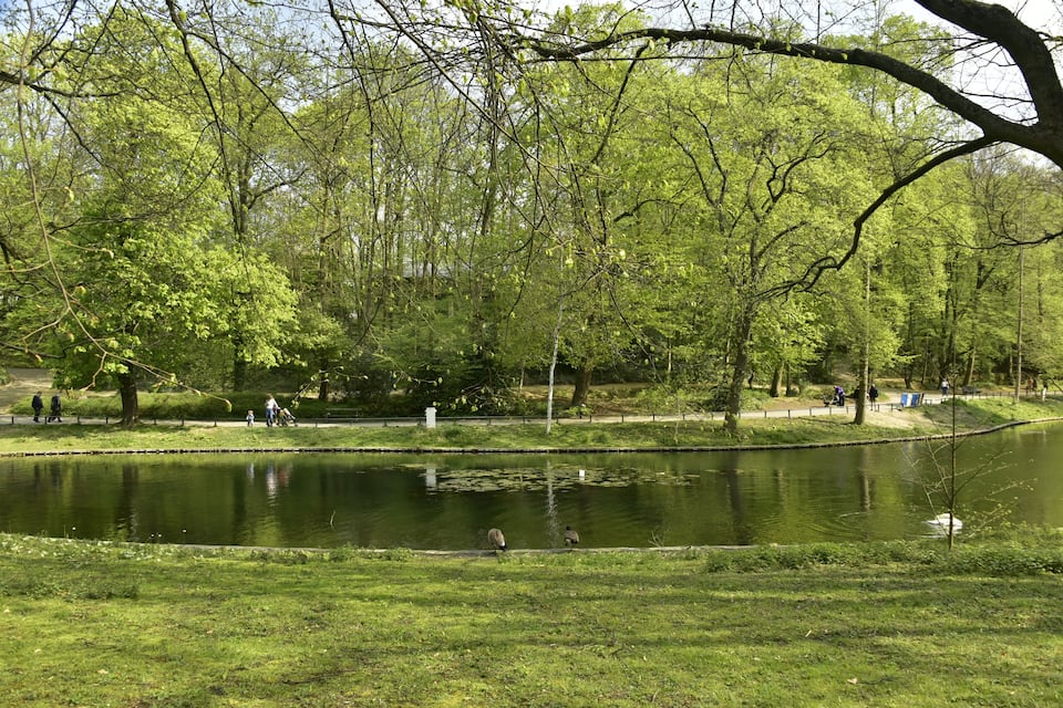 A park with a pond, trees, and a walking path.