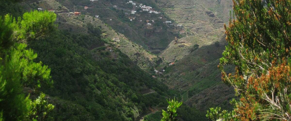 Teneriffa - Nordost - Wanderung durch den Lorbeerwald am Cruz de la Carmen Blick zur Nordküste