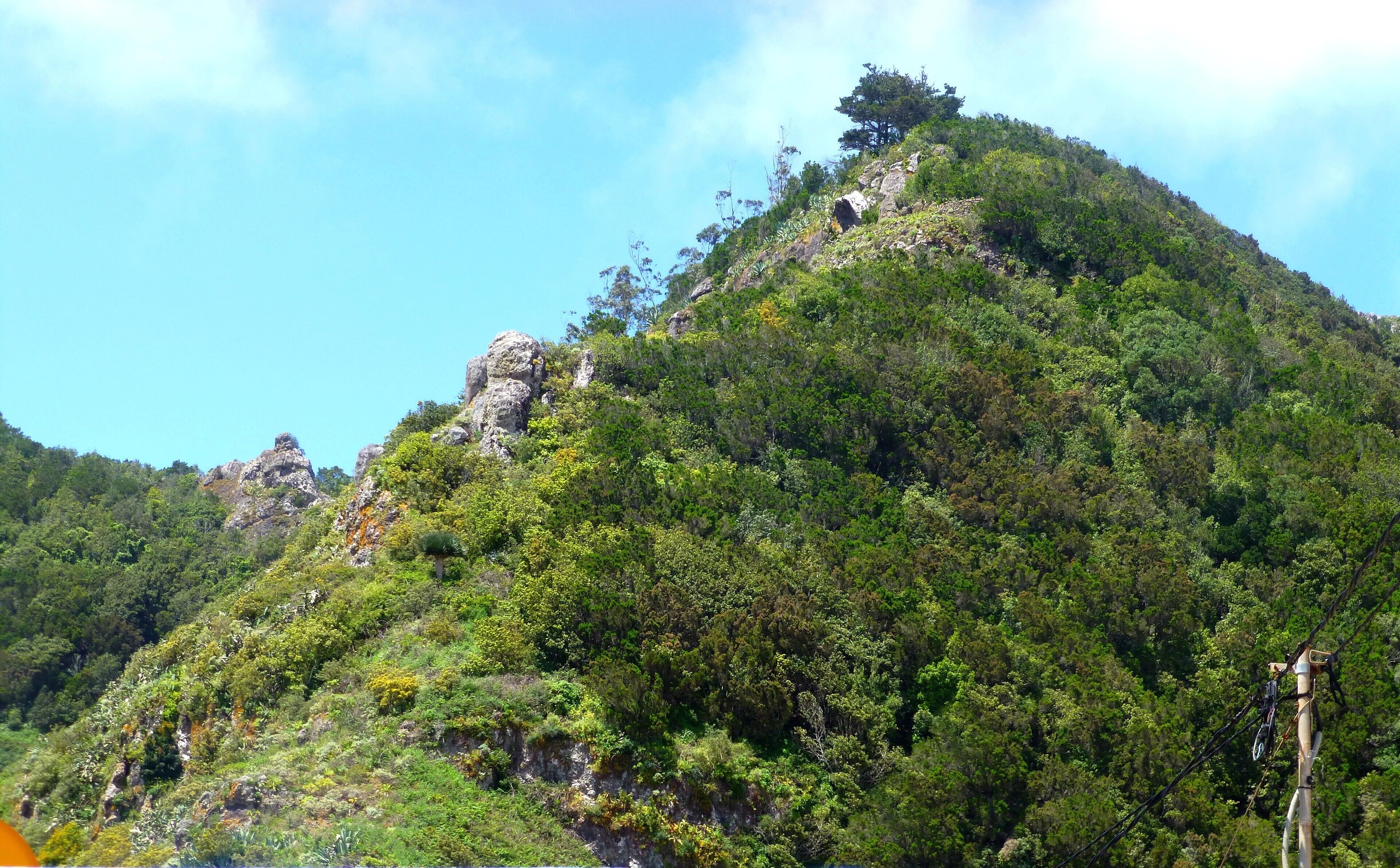 Teneriffa – Mercedeswald - Las Carboneras