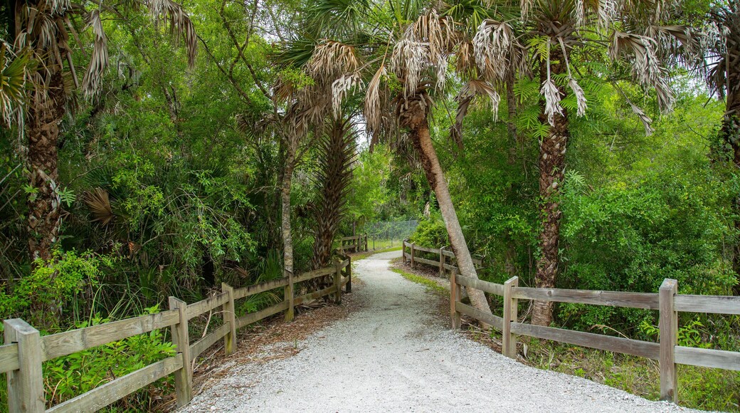 Venice Gardens showing a park