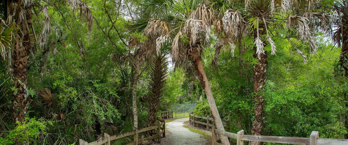 Venice Gardens showing a park