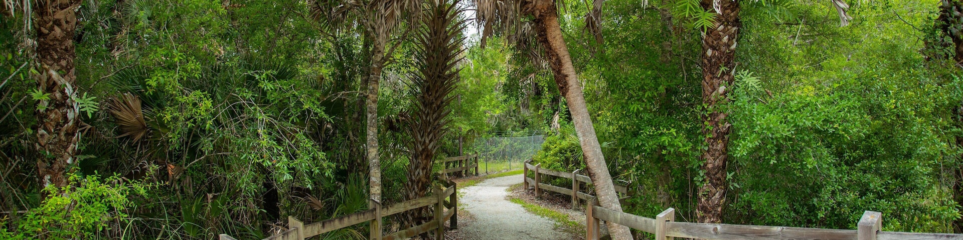 Venice Gardens showing a park