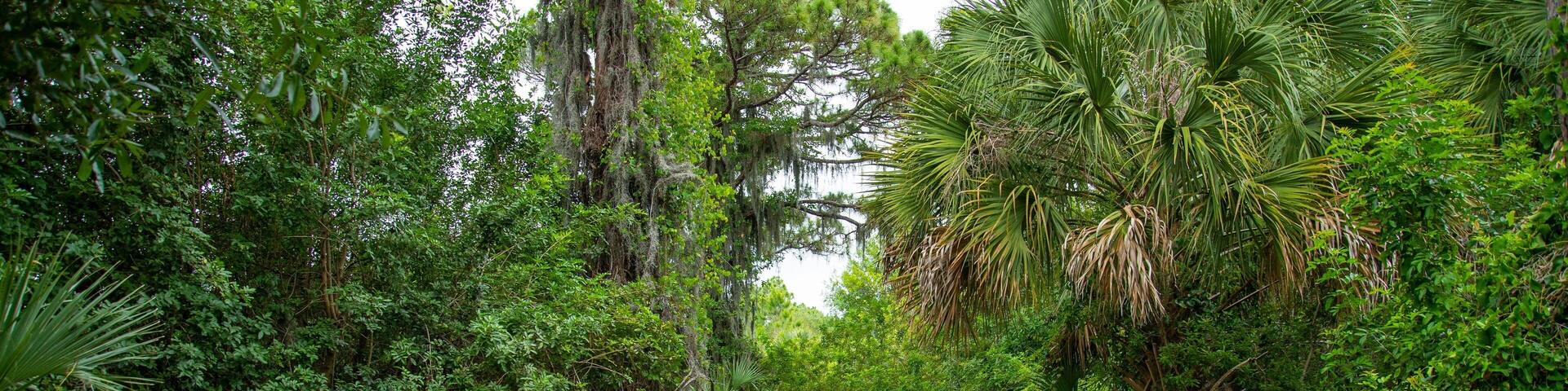 Legacy Trail showing a garden
