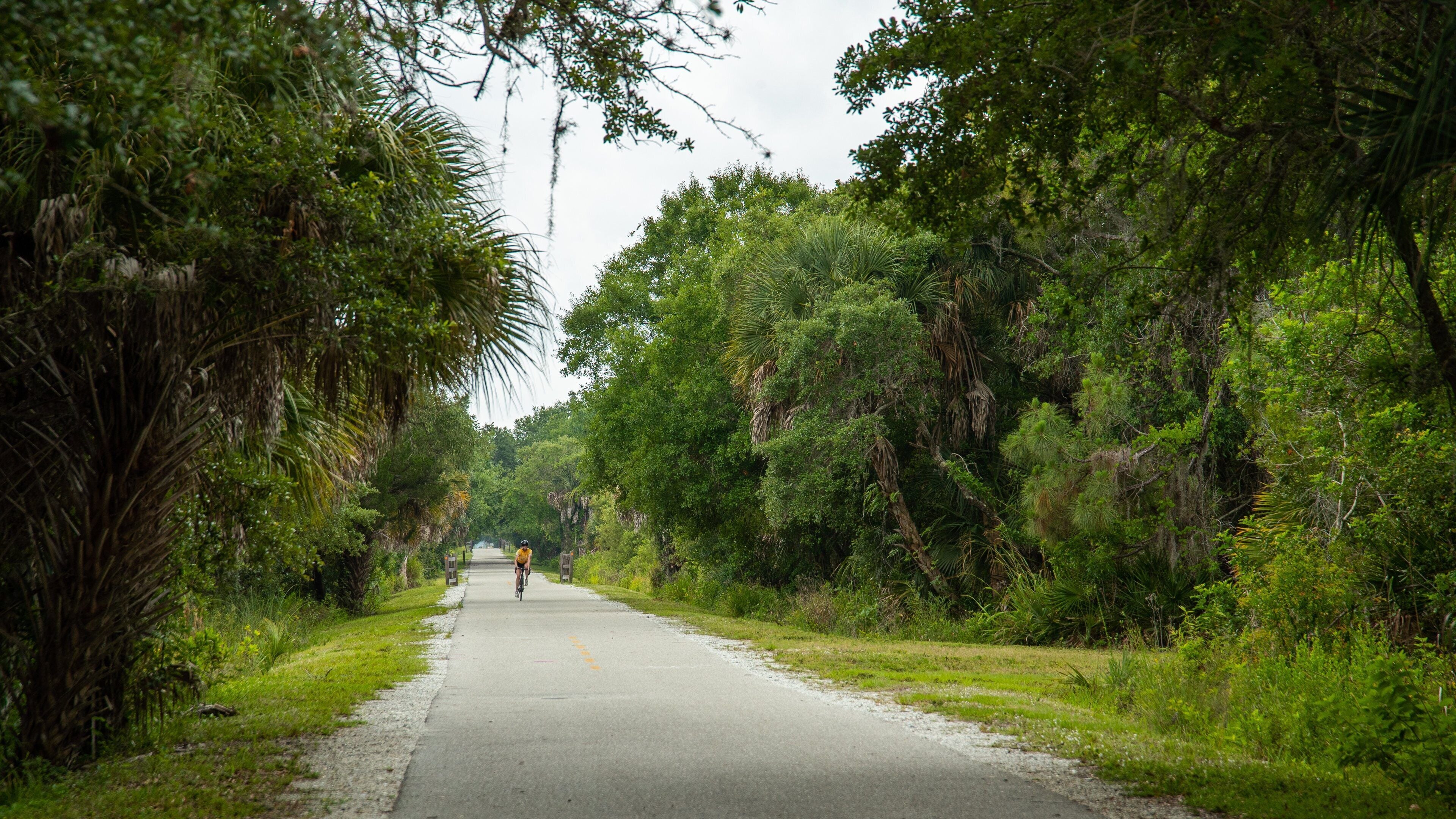 Legacy Trail showing a park and cycling