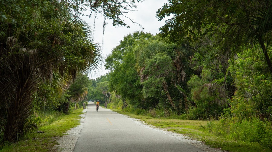 Una carretera pavimentada bordeada por exuberante vegetación tropical.