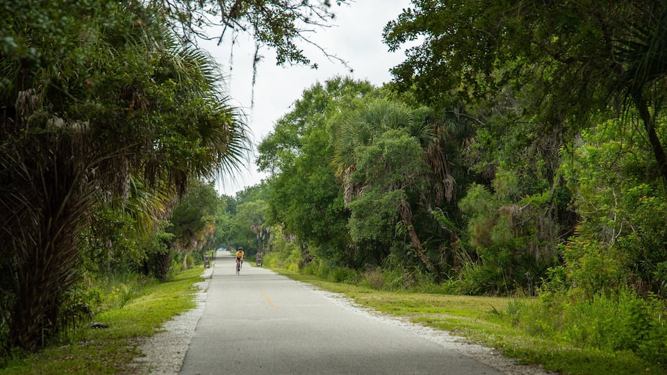 Legacy Trail showing a park and cycling