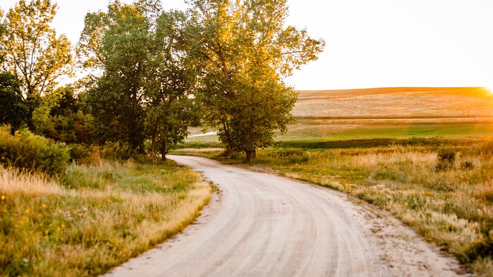 A dirt road curving through a grassy field with trees on either side.