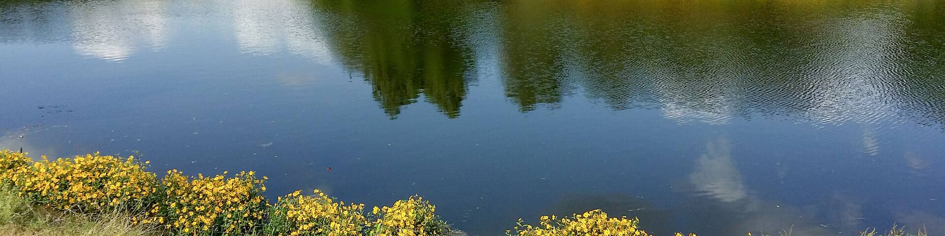 Brazos Bend State Park