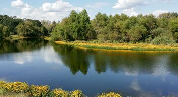 Brazos Bend State Park