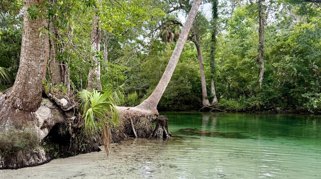 Weeki Wachee Gardens
