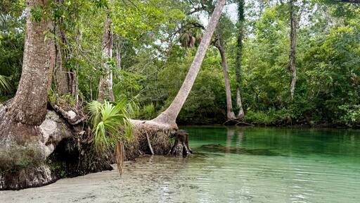 Weeki Wachee Gardens