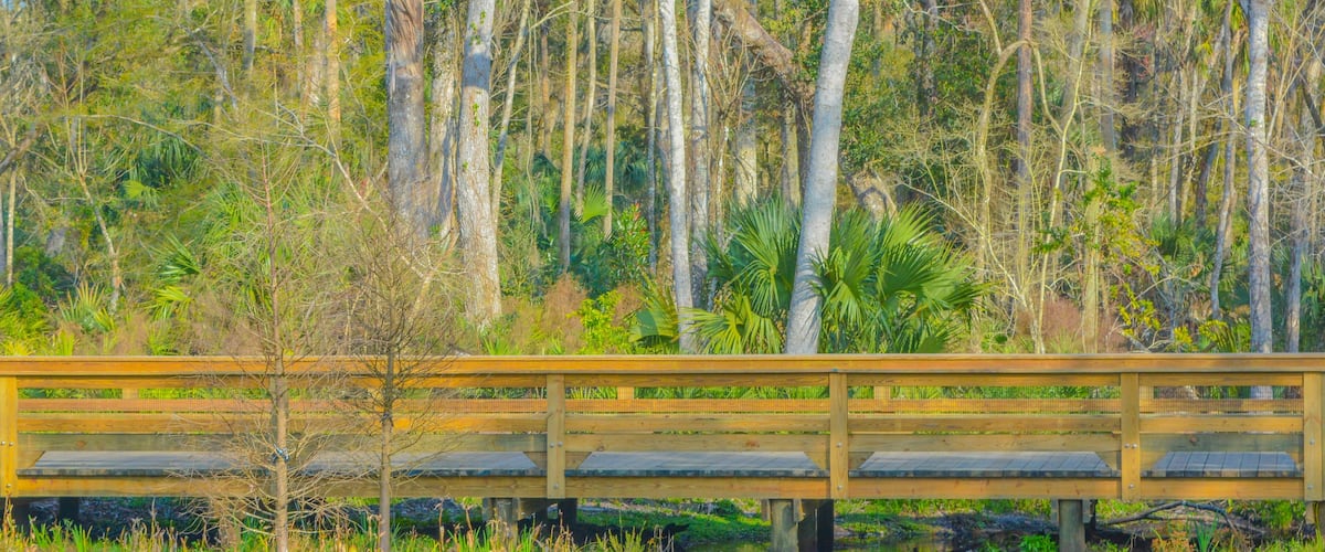 A wooden bridge over a stream with surrounding trees and vegetation.