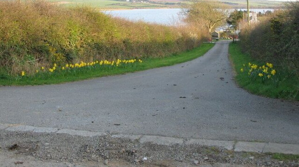 Fferam-Isaf A view looking south down the lane to Fferam-Isaf with Llyn Alaw in the background.