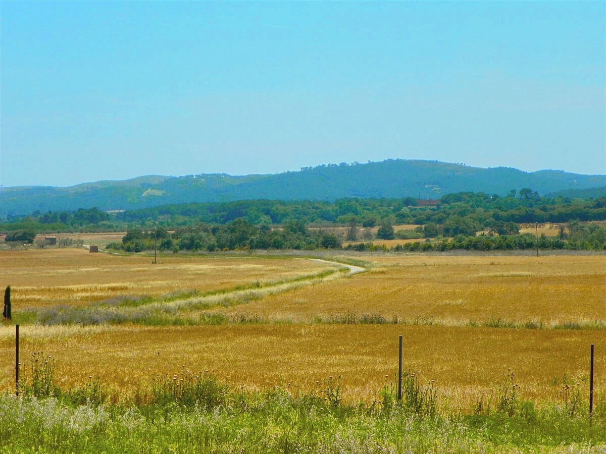 Camps de l'Empordà des de Sant Tomàs de Fluvià