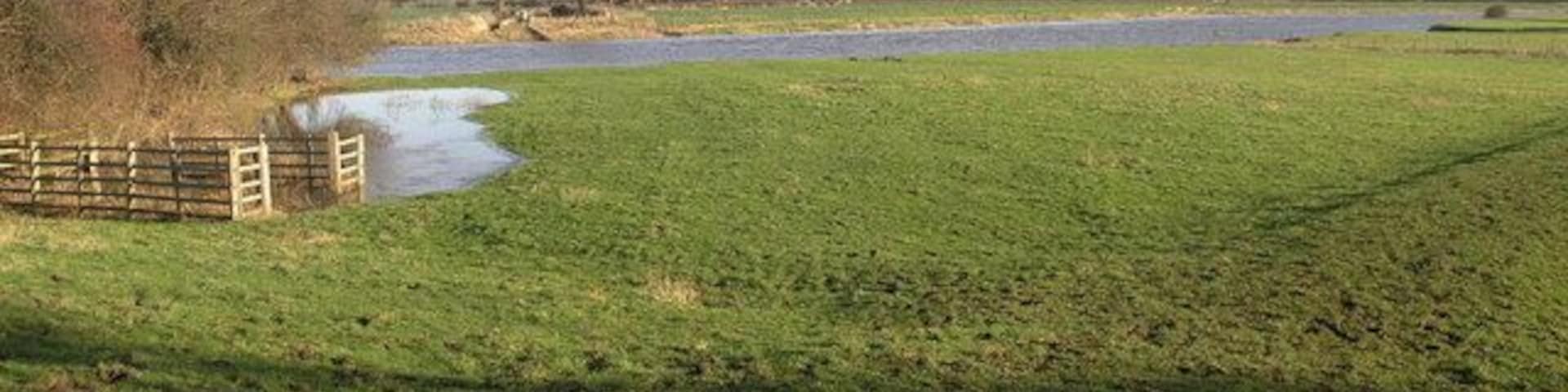 Full River The River Trent at Carlton on Trent is almost at the top of its banks.