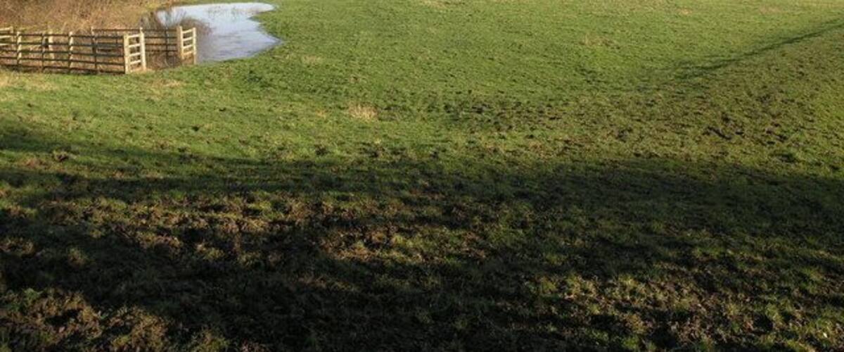 A grassy field with a wooden fence and a small water body.