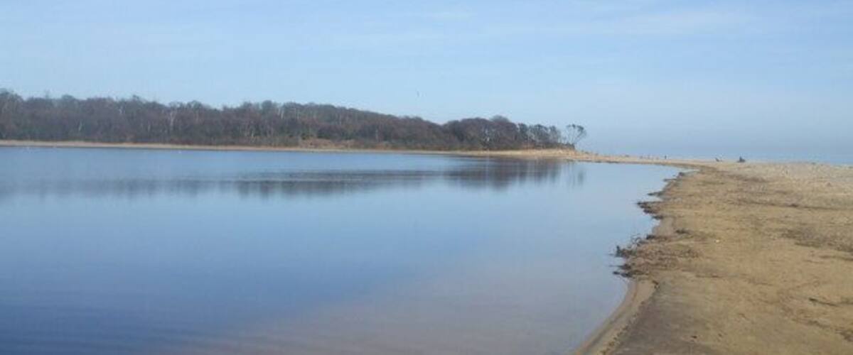 A calm lake with a sandy shore and a forested hill in the background.