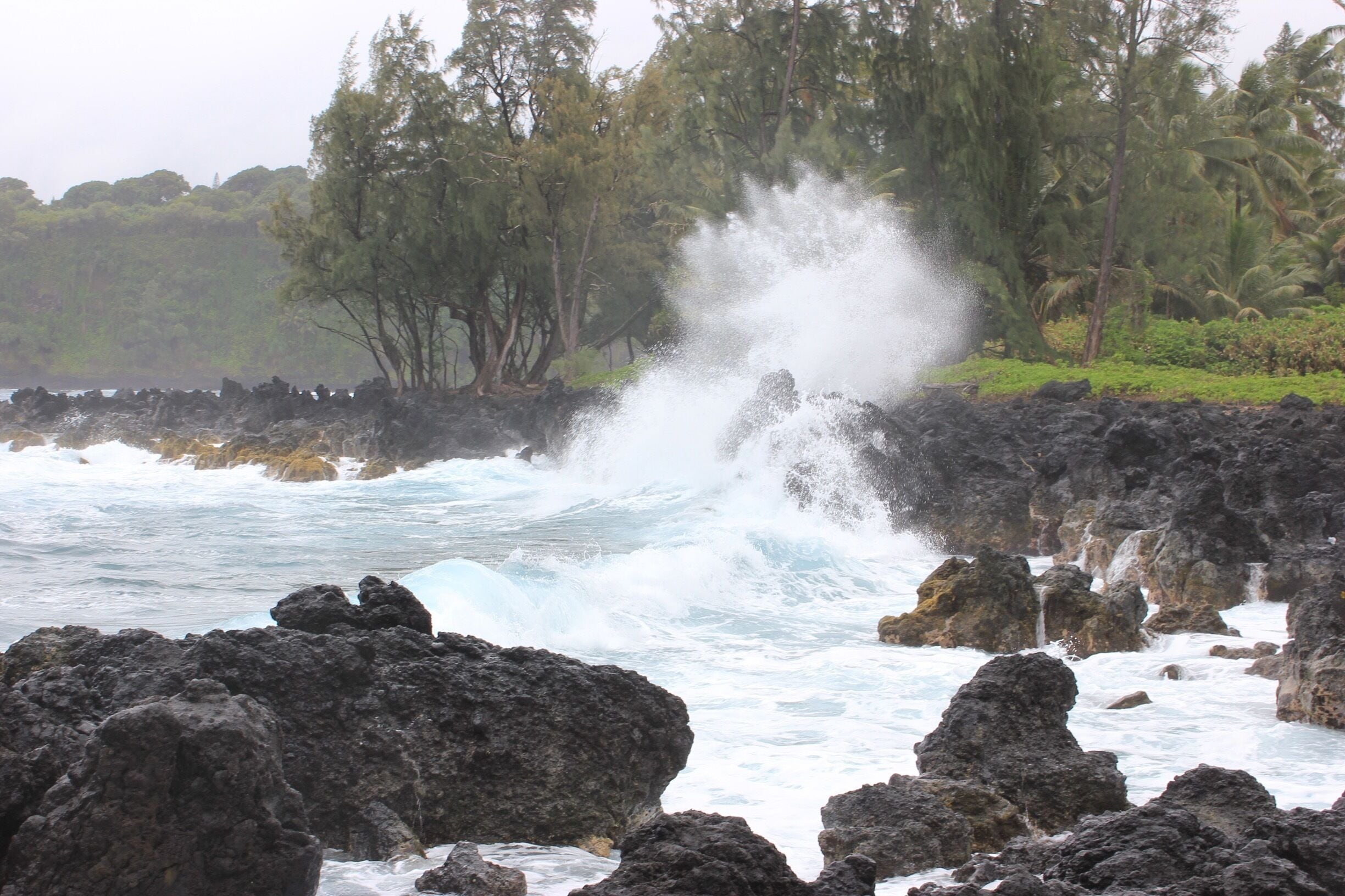 This is about half way to Hana on the "Road to Hana" in Maui, Hawaii.  Ocean was a rough this day.  Nice spot to stop along the way and relax.  Must stop at Aunt Sandy's Banana Bread on the roadside in Ke'Anae for banana bread, sandwiches, and other snacks.  