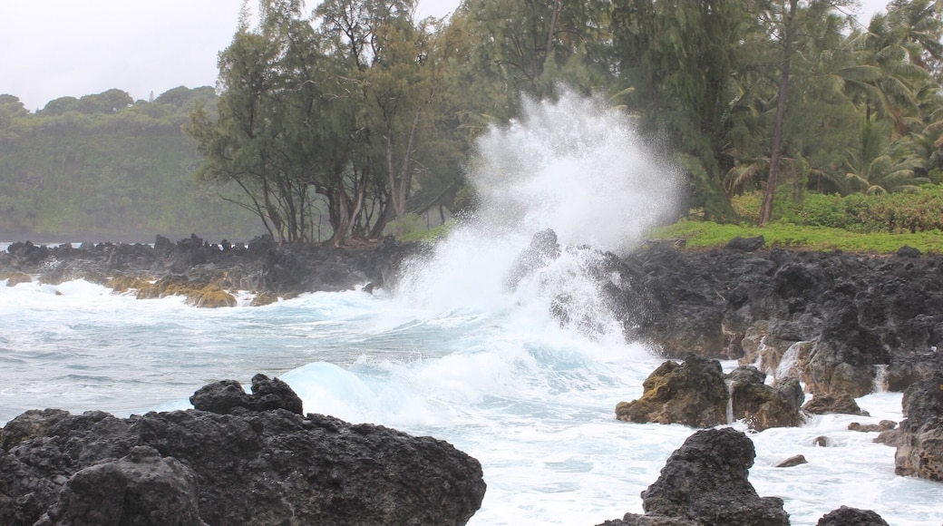 This is about half way to Hana on the "Road to Hana" in Maui, Hawaii. Ocean was a rough this day. Nice spot to stop along the way and relax. Must stop at Aunt Sandy's Banana Bread on the roadside in Ke'Anae for banana bread, sandwiches, and other snacks.