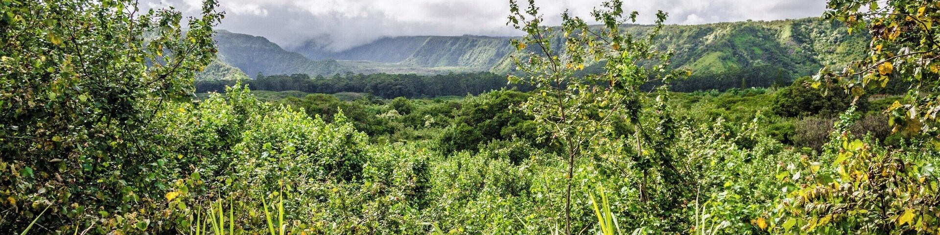 The Wailua Valley State Wayside is just one of dozens of stops along the Road to Hana. Take the stairs up to the viewpoint for great views of the Wailua Valley. #lifeatexpedia #roadtohana