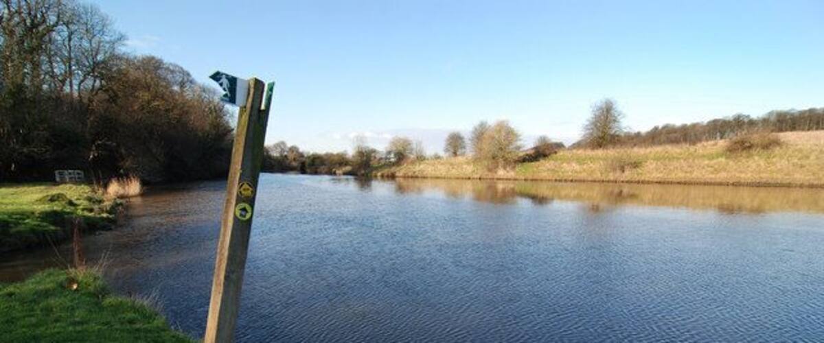 A calm river with a wooden post and a green sign.