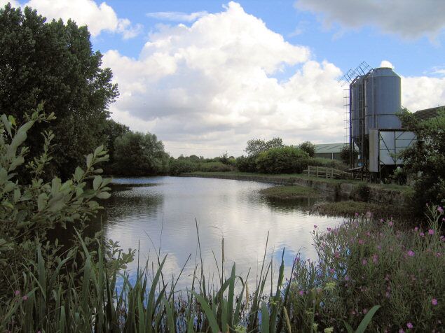 A calm river with a grain silo and surrounding greenery.