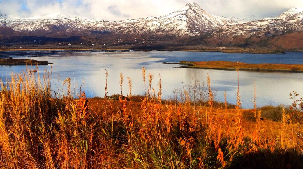 Overlooking the bay from Marine hill