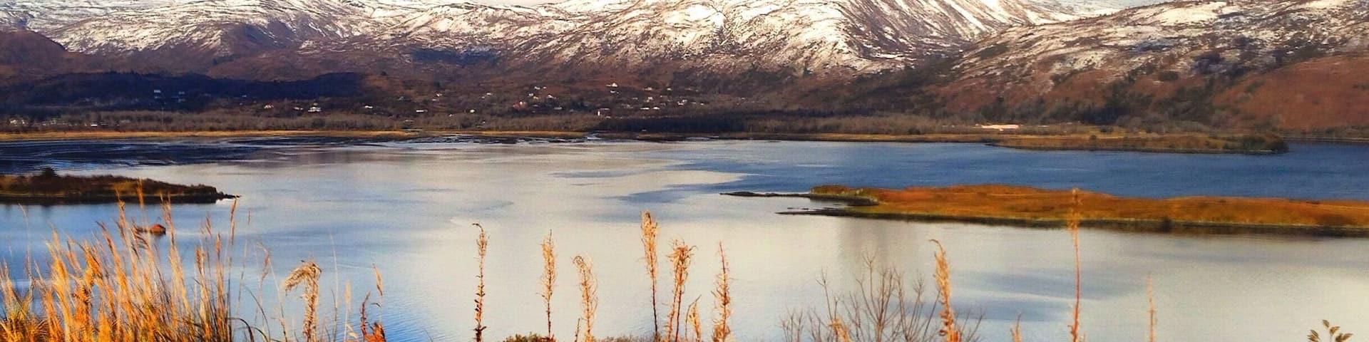 Overlooking the bay from Marine hill