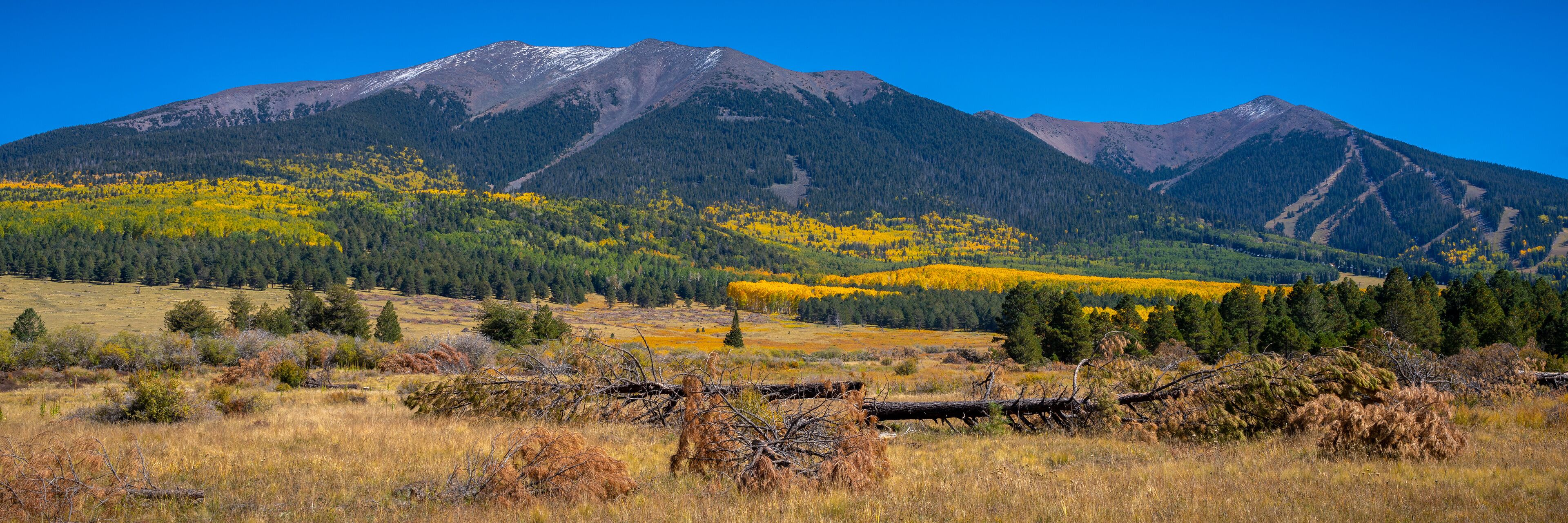 A mountain range with autumn foliage and a clear blue sky.
