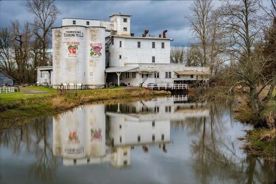 Thompson's Flouring Mills with a large silo and a building with a sign that reads "Delicious Valley Roof Flour."
