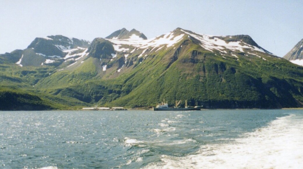 Summer salmon tendering is a perfect way to have an epic adventure and make some good money in the process! Taken from the stern of the Midget Maid, a 44' Hanson boat.