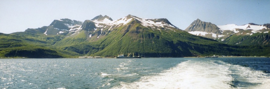 Summer salmon tendering is a perfect way to have an epic adventure and make some good money in the process! Taken from the stern of the Midget Maid, a 44' Hanson boat.