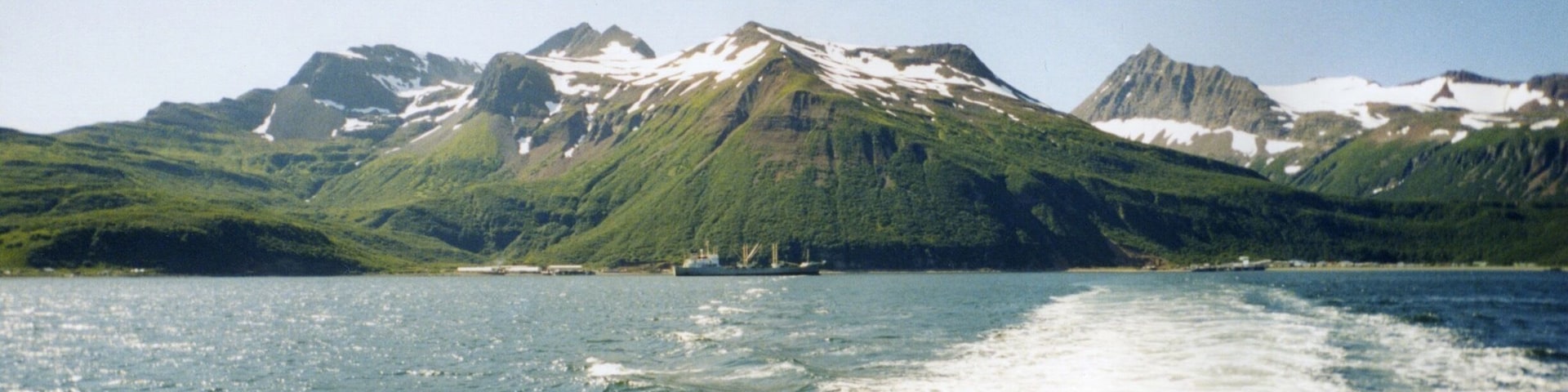 Summer salmon tendering is a perfect way to have an epic adventure and make some good money in the process! Taken from the stern of the Midget Maid, a 44' Hanson boat.