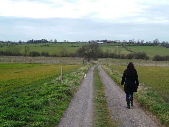 This track leads to the local sewerage works, where in times past, some locals claim the best tomato plants could be found.