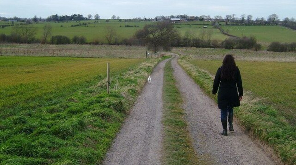 This track leads to the local sewerage works, where in times past, some locals claim the best tomato plants could be found.