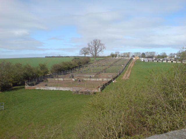 Pheasant breeding pens in a field at Hall Farm, Donisthorpe, Leicestershire.