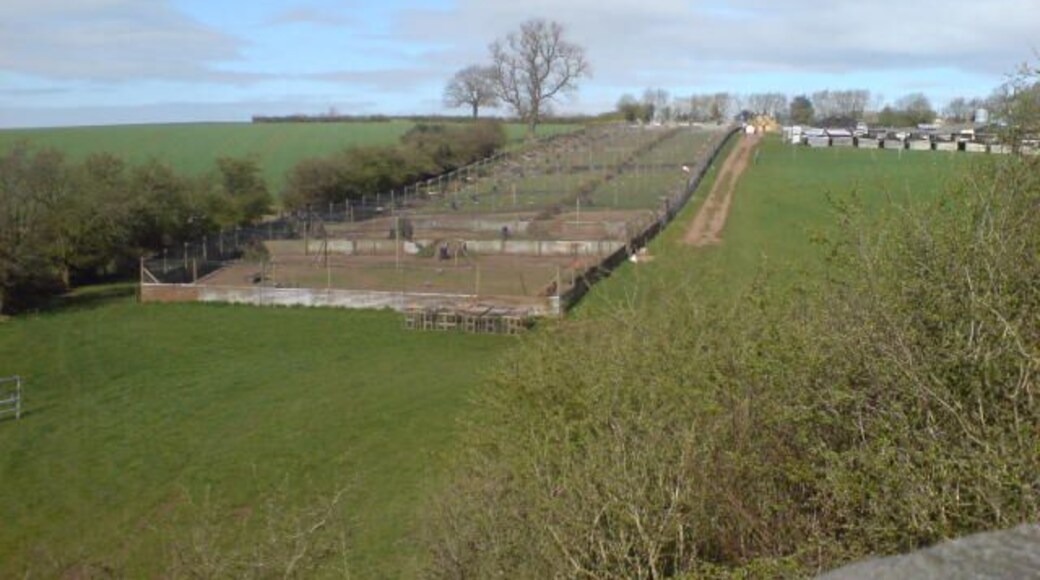 Pheasant breeding pens in a field at Hall Farm, Donisthorpe, Leicestershire.