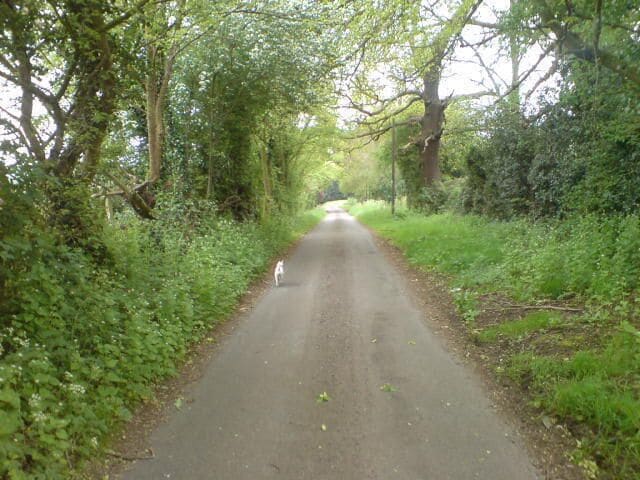 Hall Lane, Donisthorpe, Leicestershire.