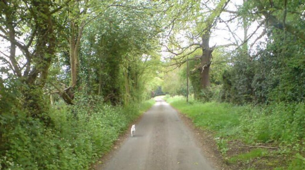 Hall Lane, Donisthorpe, Leicestershire.